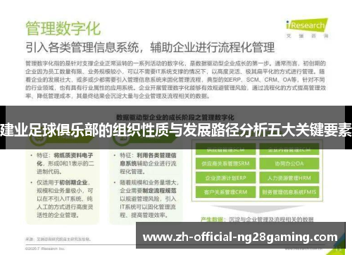 建业足球俱乐部的组织性质与发展路径分析五大关键要素 建业足球俱乐部的组织性质与发展路径分析五大关键要素