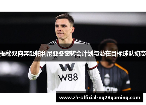 揭秘双向奔赴帕利尼亚冬窗转会计划与潜在目标球队动态
