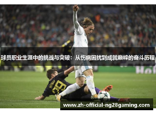 球员职业生涯中的挑战与突破：从伤病困扰到成就巅峰的奋斗历程