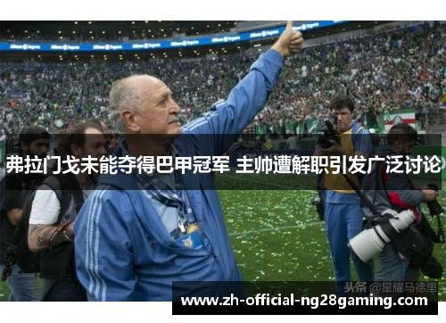弗拉门戈未能夺得巴甲冠军 主帅遭解职引发广泛讨论