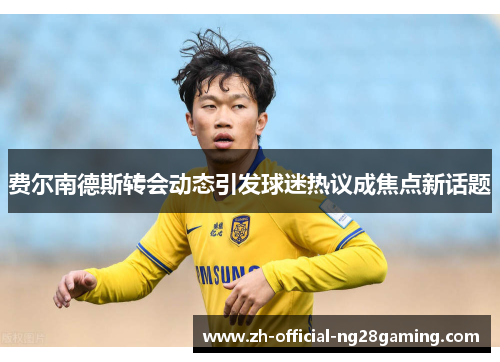 费尔南德斯转会动态引发球迷热议成焦点新话题