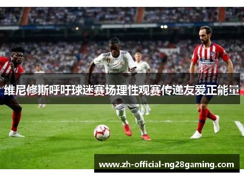 维尼修斯呼吁球迷赛场理性观赛传递友爱正能量