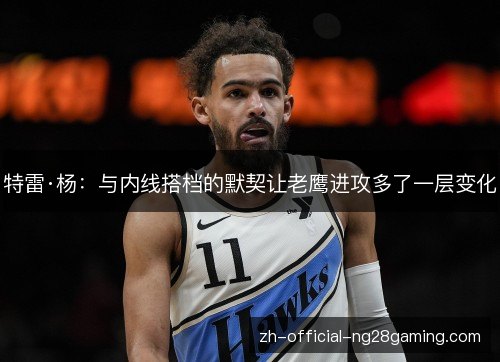 特雷·杨:与内线搭档的默契让老鹰进攻多了一层变化 特雷·杨:与内线搭档的默契让老鹰进攻多了一层变化